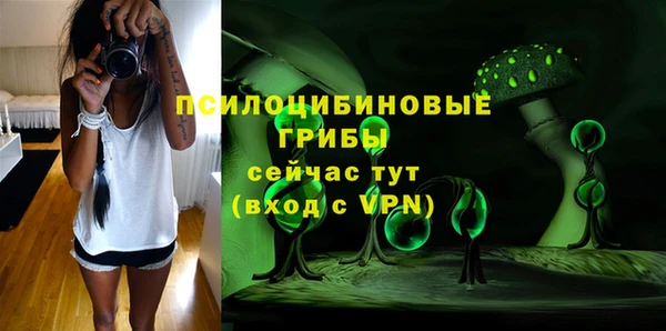 ГАЛЛЮЦИНОГЕННЫЕ ГРИБЫ Семёнов