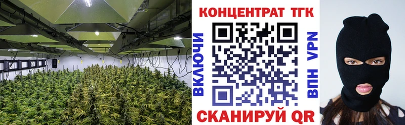 ОМГ ОМГ   Вольск  ТГК THC oil 